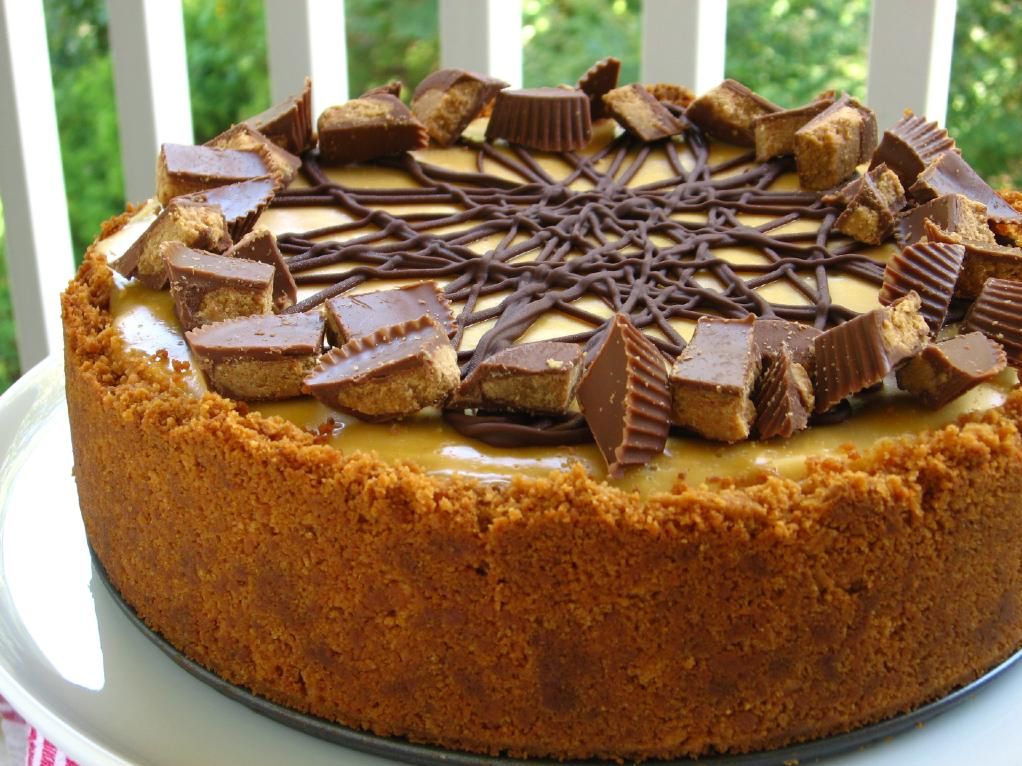 Chocolate Peanut Butter Bliss Cheesecake and Project Food Blog Willow Bird Baking